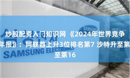 炒股配资入门知识网 《2024年世界竞争力年报》：阿联酋上升3位排名第7 沙特升至第16