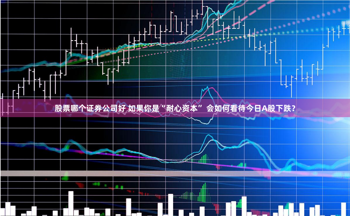 股票哪个证券公司好 如果你是“耐心资本” 会如何看待今日A股下跌？