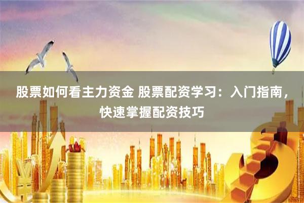 股票如何看主力资金 股票配资学习：入门指南，快速掌握配资技巧