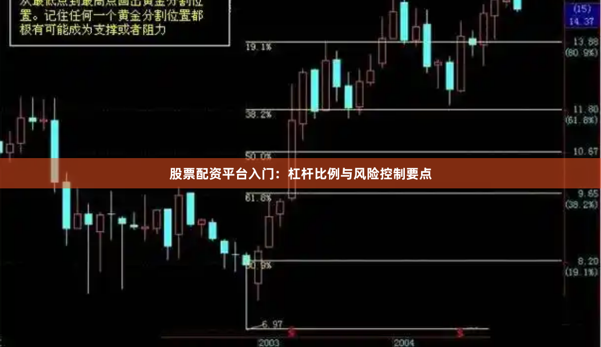 股票配资平台入门：杠杆比例与风险控制要点
